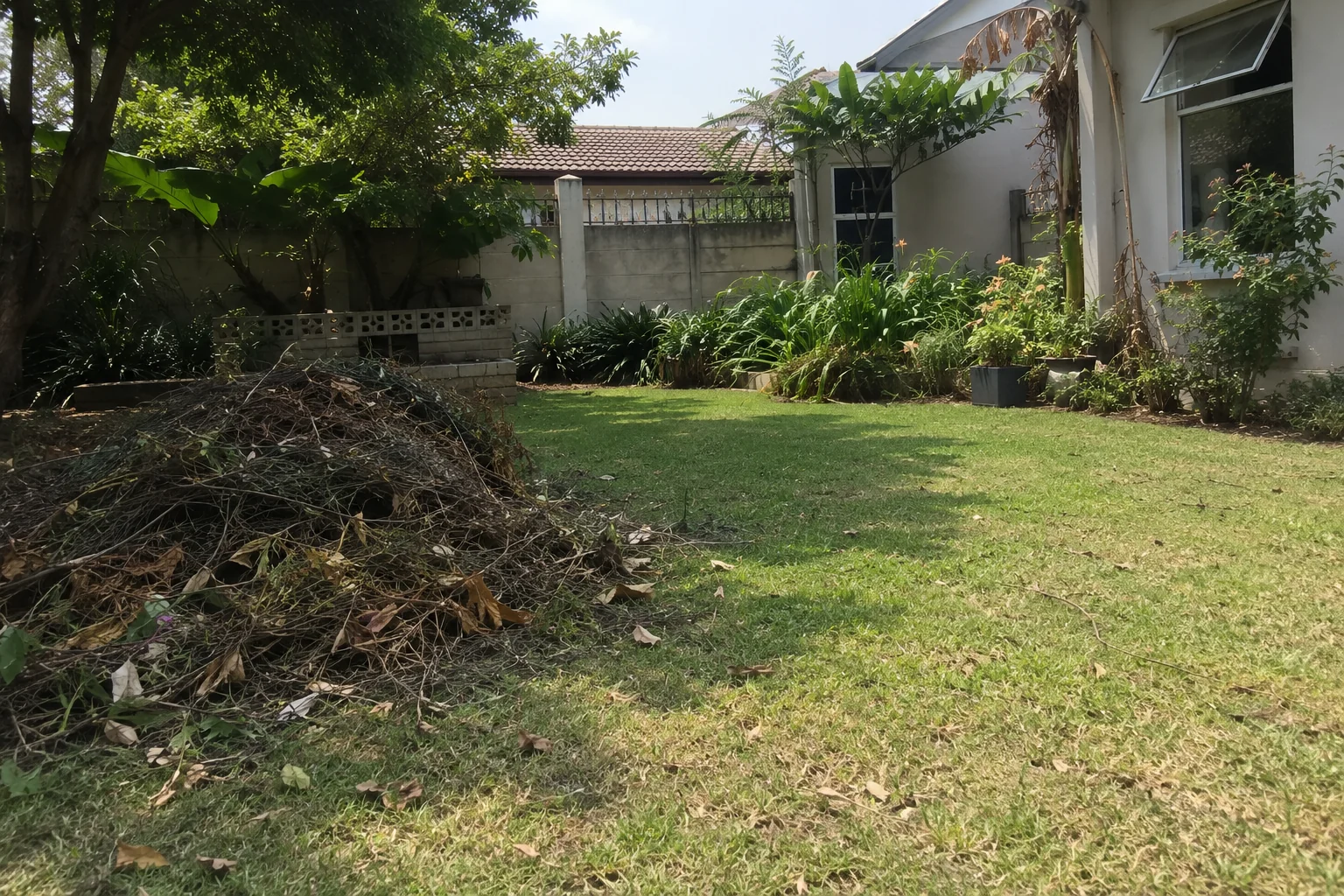 Garden full of branches and garden waste before using the Garden Drum service